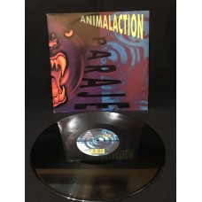 Paraje - Animalaction